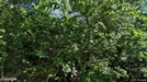 Lejlighed til salg, Rørvig, &lt;span class=&quot;blurred street&quot; onclick=&quot;ProcessAdRequest(2861988)&quot;&gt;&lt;span class=&quot;hint&quot;&gt;Se vej-navn&lt;/span&gt;[xxxxxxxxxx]&lt;/span&gt;
