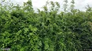 Lejlighed til salg, Suldrup, &lt;span class=&quot;blurred street&quot; onclick=&quot;ProcessAdRequest(3041322)&quot;&gt;&lt;span class=&quot;hint&quot;&gt;Se vej-navn&lt;/span&gt;[xxxxxxxxxx]&lt;/span&gt;