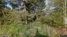 Lejlighed til salg, Grevinge, Krovejen<span class="blurred street-number" onclick="ProcessAdRequest(3355387)"><span class="hint">Se vej-nummer</span>[xxxxxxxxxxxx]</span>