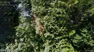 Lejlighed til salg, Faaborg, Trollesvej<span class="blurred street-number" onclick="ProcessAdRequest(3383075)"><span class="hint">Se vejnr.</span>[xxxxxxxx]</span>