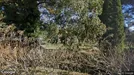 Lejlighed til salg, Gedser, Bellisvejen<span class="blurred street-number" onclick="ProcessAdRequest(3386928)"><span class="hint">Se vejnr.</span>[xxxxxxxx]</span>