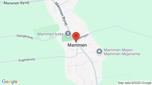 Lejligheder til salg i Bjerringbro - kort over placeringen