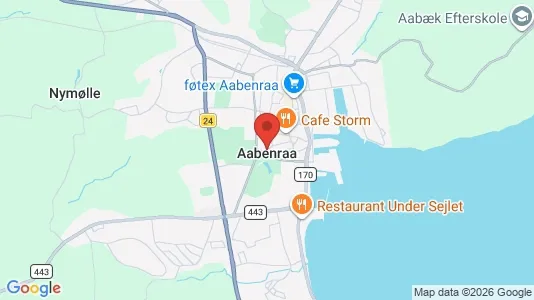 Lejligheder til salg i Aabenraa - kort over placeringen