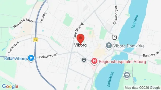 Lejligheder til salg i Viborg - kort over placeringen