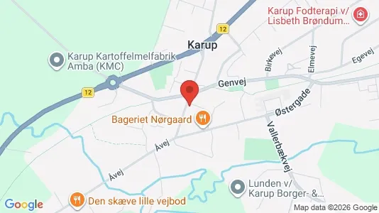 Lejligheder til salg i Karup J - kort over placeringen