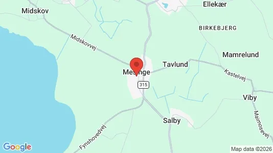 Lejligheder til salg i Mesinge - kort over placeringen