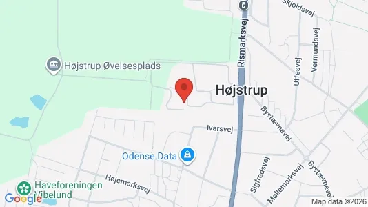 Lejligheder til salg i Odense V - kort over placeringen