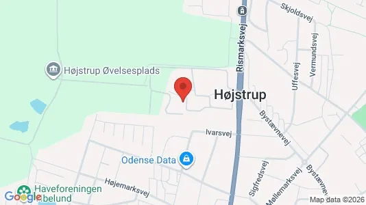 Lejligheder til salg i Odense V - kort over placeringen