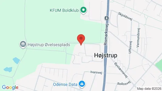 Lejligheder til salg i Odense V - kort over placeringen